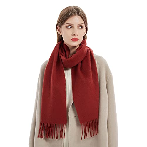 LumiSyne Winter Senior Kaschmir Schal Für Damen Klassisch Einfarbig Wollschal Mit Quasten Weiche Langer Pashmina Schals Warme Schultertuch Stola von LumiSyne