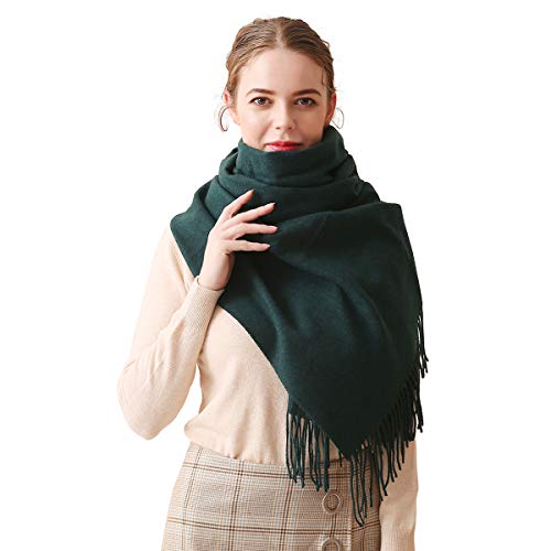 LumiSyne Winter Senior Kaschmir Schal Für Damen Pashminaschal Unifarben Mit Quasten Lang Und Verdickt Schals Tücher Hochzeit Stola von LumiSyne