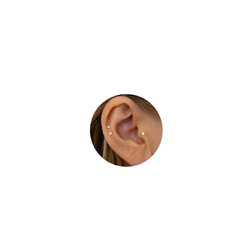 LunarCharm 3 Stück 18G kleines Herz Titan Flache Rückseite Ohrringe, Fadenlose Nasenstecker Winzige Ohrstecker, Knorpel Tragus Piercing Schmuck Conch Helix Ohrstecker LunarCharm 3 Stück 18G kleines Herz Titan Flache Rückseite Ohrringe, Fadenlose Nasenstecker Winzige Ohrstecker, Knorpel Tragus Piercing Schmuck Conch Helix Ohrstecker von LunarCharm