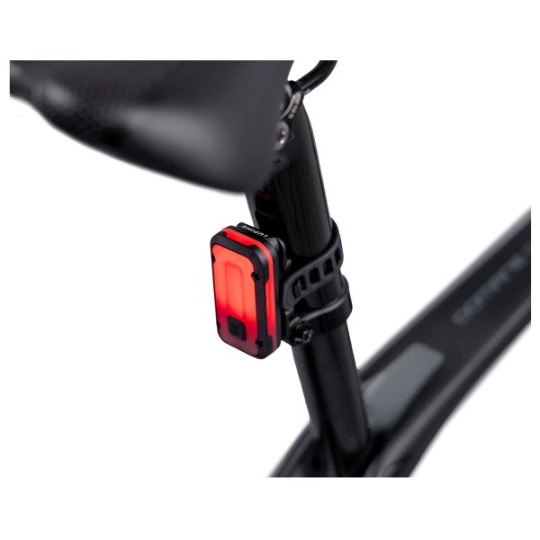 Lupine - Rotlicht Pro International - Rücklicht schwarz von Lupine