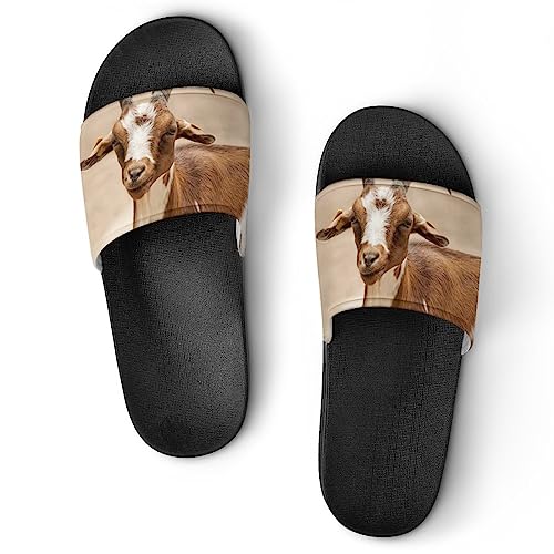 Pantoffeln Für Frauen Ziege Dusche Sandalen Badeschuhe Hausschuhe Für Männer Pantoffeln Für Frauen Ziege Dusche Sandalen Badeschuhe Hausschuhe Für Männer von Lurnise