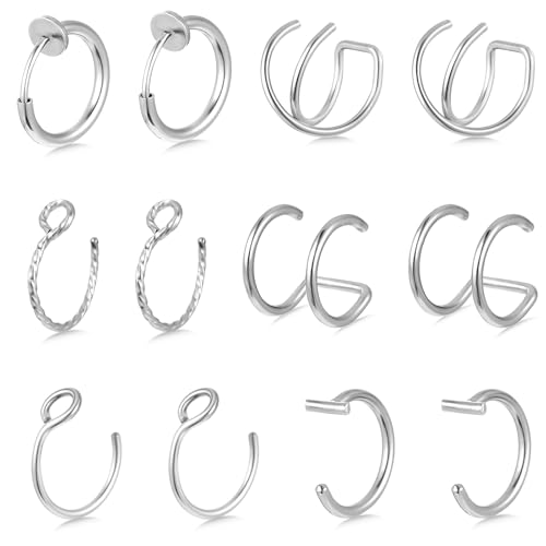 12 Stück Fake Nasenpiercing Ring Set Fake Nose Ring Dünn Lippe Piercing Nasenring Silber Nasen Piercing Ringe Schmuck Edelstahl Nasenringe Hoop Septum-Knorpelring-Set Für Damen Männer（6 Stile） von Lusofie
