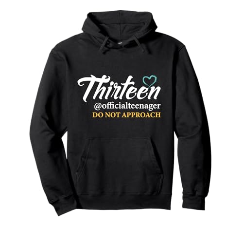 Geschenk Für 13 Jährigen Jungen Mädchen Geburtstag Pullover Hoodie Geschenk Für 13 Jährigen Jungen Mädchen Geburtstag Pullover Hoodie von Lustige Geschenkidee Zum 13. Geburtstag Teenager