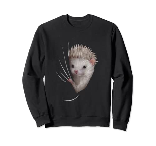 Igel kommt aus Kleidung Kinder Geschenk Outfit Igel Sweatshirt Igel kommt aus Kleidung Kinder Geschenk Outfit Igel Sweatshirt von Lustige Igel Sachen für Damen, Herren & Kinder