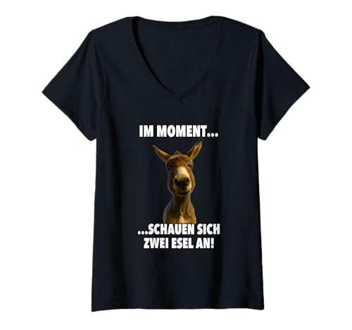Damen Zwei Esel gucken Sich an Dumme Menschen T-Shirt mit V-Ausschnitt Damen Zwei Esel gucken Sich an Dumme Menschen T-Shirt mit V-Ausschnitt von Lustiges Esel Outfit für Esel Fans