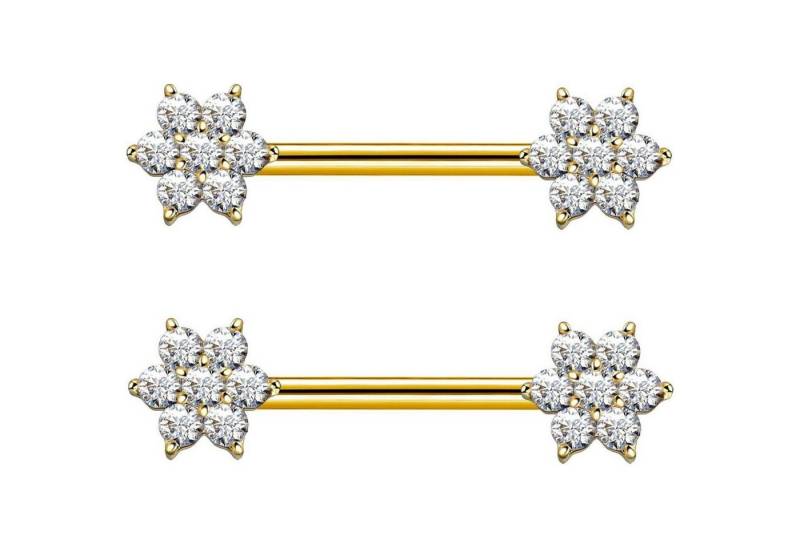 LuxusKollektion Brustwarzenpiercing-Set Brustwarzenpiercing 14mm Chirurgenstahl Gold Damen Stil F LuxusKollektion Brustwarzenpiercing-Set Brustwarzenpiercing 14mm Chirurgenstahl Gold Damen Stil F von LuxusKollektion