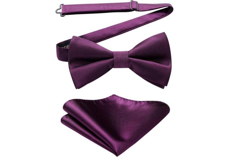LuxusKollektion Krawatte Fliege Vorgebundene Herren Einstecktuch Set Hochzeit A1-violett von LuxusKollektion