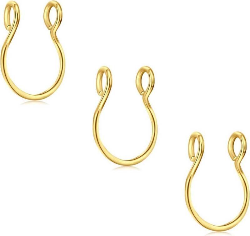 D.Bella Nasenpiercing-Set 3Pcs Fake Nase Ringe Chirurgenstahl Faux Lip Nasenringe Hoop Set von D.Bella