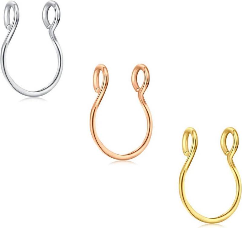 D.Bella Nasenpiercing-Set 3Pcs Fake Nase Ringe Chirurgenstahl Faux Lip Septum Hoop Piercing Set von D.Bella