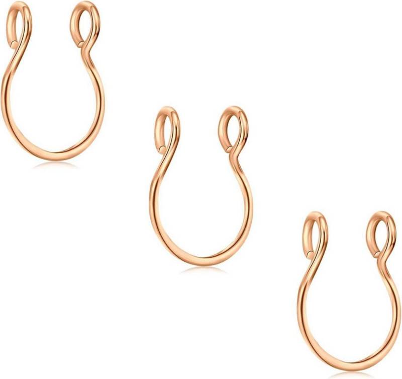 D.Bella Nasenpiercing-Set 3Pcs Fake Nase Ringe Chirurgenstahl Faux Lip Septum Hoop Set Piercing von D.Bella