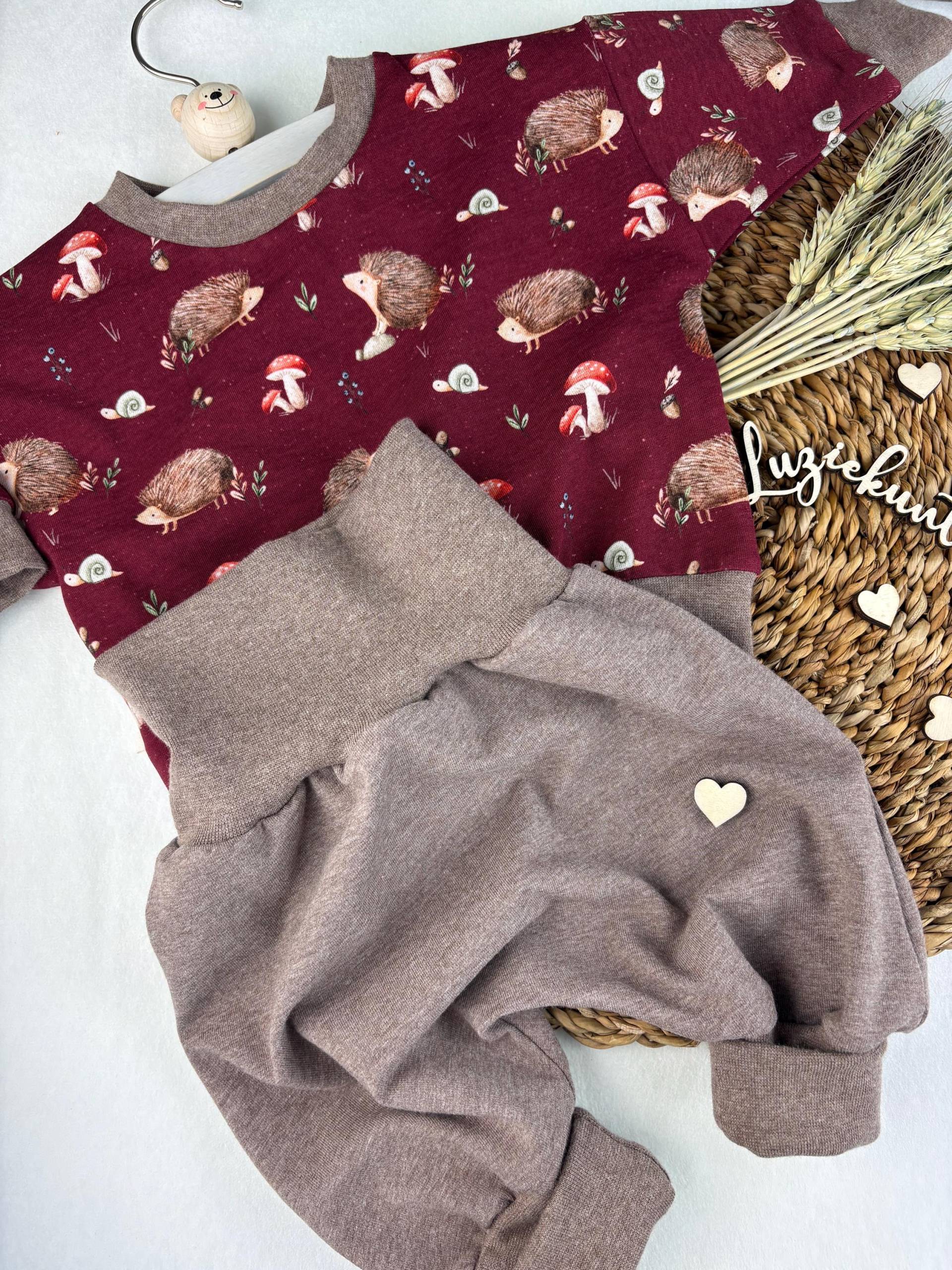 Baby Kinder Set Igel Pumphose Sweater Sweatshirt Babyhose Mitwachshose Babyset Babygeschenk Geburt Genderneutral Jersey Gr.56-80 Unisex von LuzieKunterbuntshop