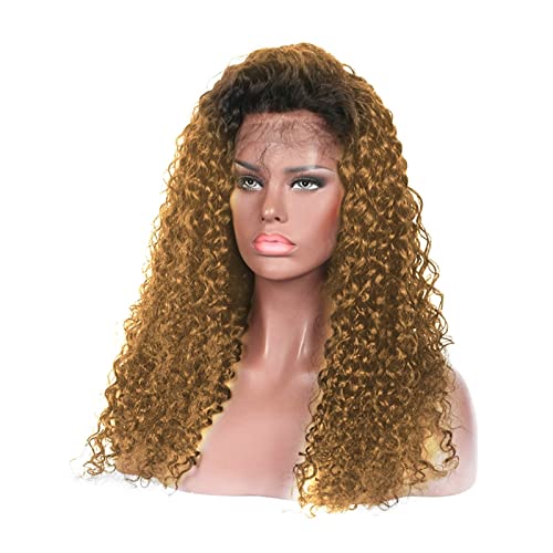 Lzeal Damenperücken Haarersatz Perücken Blonde lockige synthetische Lace-Front-Perücken for Frauen und Mädchen Zweifarbige Lace-Front-Perücken Kunsthaar-Perücke Perücke für Mode von Lzeal