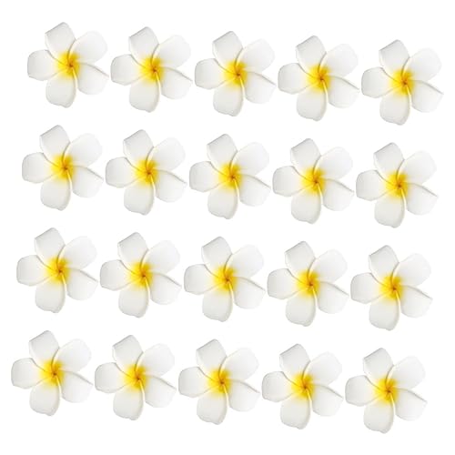 MAGICLULU 20stücke Blumen Haarclips Aus Plumeria Für Mädchen Strand Party Hochzeit Zubehör Mit Clip Haarspangen Für Sommerkleid Und Geschenkidee von MAGICLULU