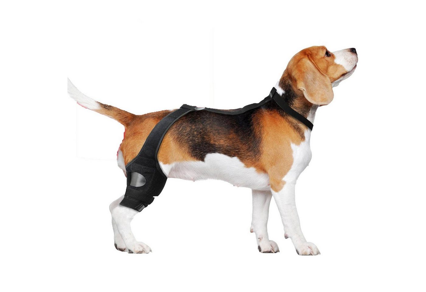 MAGICSHE Stützbandage Ellenbogenbandage Protektor Hüftbandage für Hunde von MAGICSHE