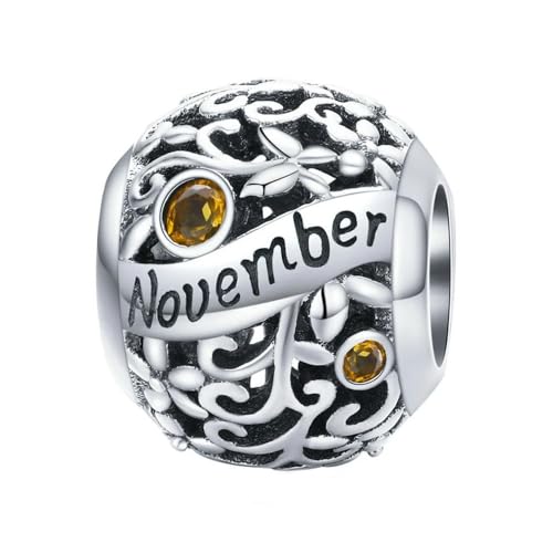MAITONGG Geburtsstein Charms 925 Sterling Silber Hohlperlen Fit Original Armband Armband Anhänger Schmuck von MAITONGG