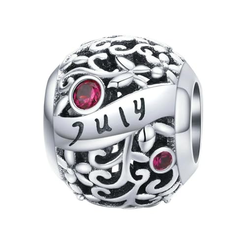 MAITONGG Geburtsstein Charms 925 Sterling Silber Hohlperlen Fit Original Armband Armband Anhänger Schmuck von MAITONGG