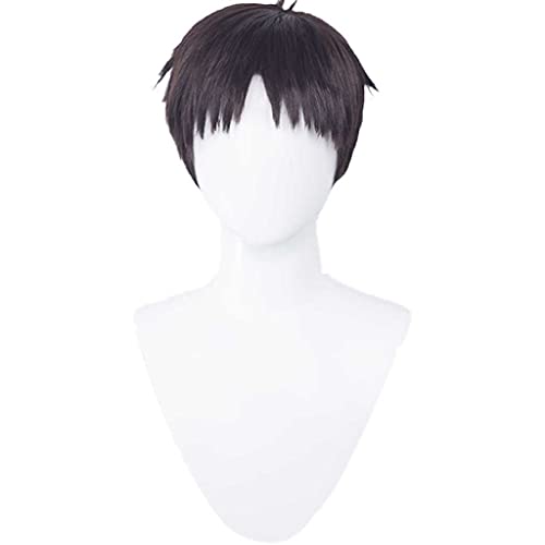 MAOMA Anime Cosplay Perücke,Neon Genesis Evangelion Shinji Ikari Perücke,Brown and Black Short Perücke,Mit Kostenloser Perückenkappe,für Party Alltag Halloween Perücke Cosplay von MAOMA