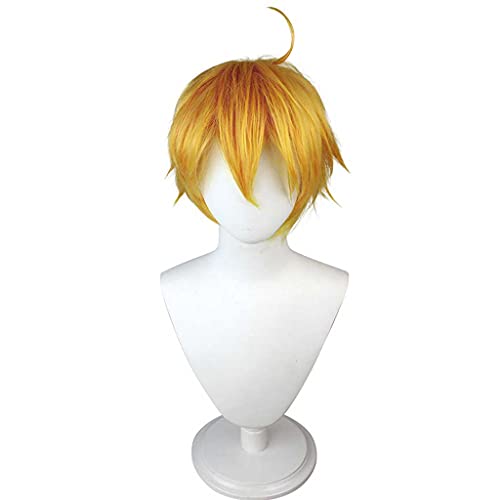 MAOMA Cosplay Wig, Anime Cosplay Genshin Impact Thoma Cosplay Perücke,mit Kostenloser Perückenkappe, für Halloween Party Halloween Karneval mit Perücke von MAOMA