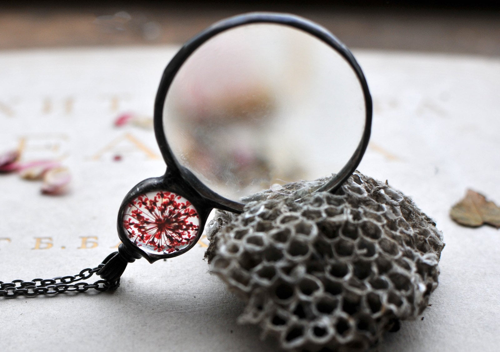 Lupe Halskette, Glas Echte Blume Terrarium Schmuck, Halskette Lupe Halskette, Glas Echte Blume Terrarium Schmuck, Halskette von MARIAELA