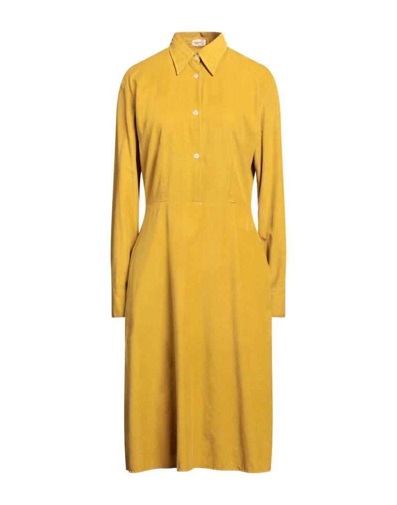 MASSIMO ALBA Midi-kleid Damen Senf von MASSIMO ALBA