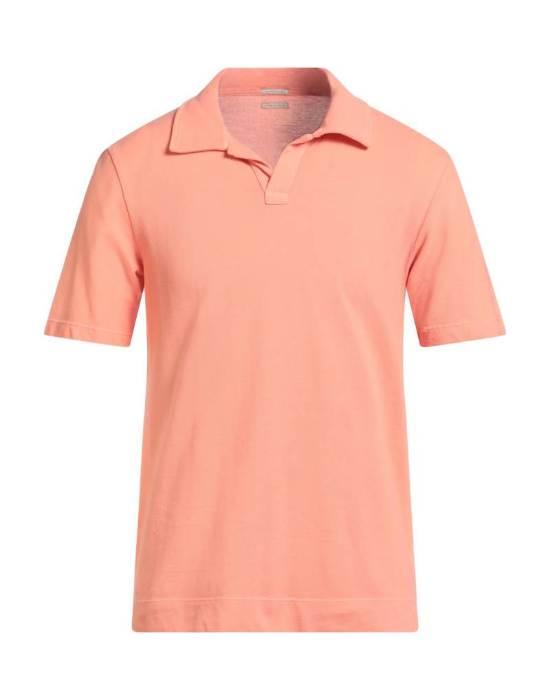 MASSIMO ALBA Poloshirt Herren Lachs von MASSIMO ALBA