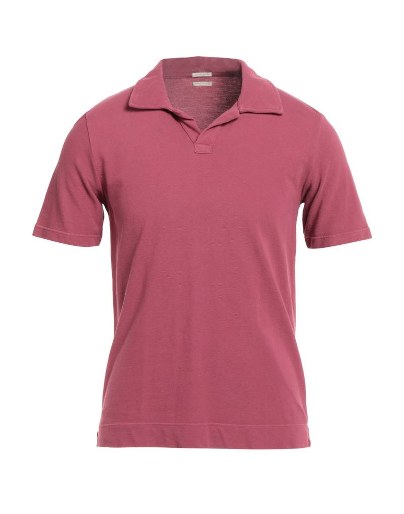 MASSIMO ALBA Poloshirt Herren Purpur von MASSIMO ALBA