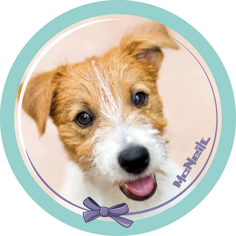 MC NEILL - McAddys zu Schulranzen Haustiere: Hund grün Natur von MC NEILL