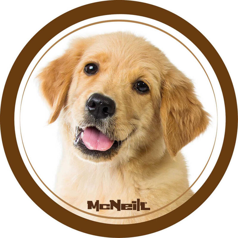 MC NEILL - McNeill Hund braun McAddy zu Schulranzen von MC NEILL