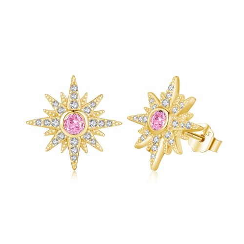 MEDWISE Stern Ohrringe Mädchen 925 Sterling Silber Stern Ohrstecker Gold Ohrringe mit Hell Pink Zirkonia Stern Schmuck für Tochter Damen Kinder Freundin Liebhabe von MEDWISE