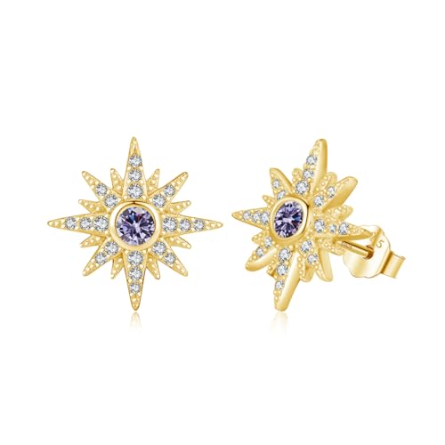 MEDWISE Stern Ohrringe Mädchen 925 Sterling Silber Stern Ohrstecker Gold Ohrringe mit Helles Lila Zirkonia Stern Schmuck für Tochter Damen Kinder Freundin Liebhaber von MEDWISE