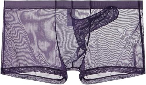 MEGAHERZ Ultra DüNne Boxershorts FüR Herren MäNner Elefantennase UnterwäSche Ausbuchtung Unterhosen Netz Mesh HöSchen Durchsichtige Erotisch WäSche Party Clubwear (Lila,M) von MEGAHERZ