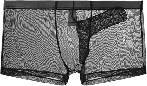 MEGAHERZ Ultra DüNne Boxershorts FüR Herren MäNner Elefantennase UnterwäSche Ausbuchtung Unterhosen Netz Mesh HöSchen Durchsichtige Erotisch WäSche Party Clubwear (Schwarz,M) von MEGAHERZ