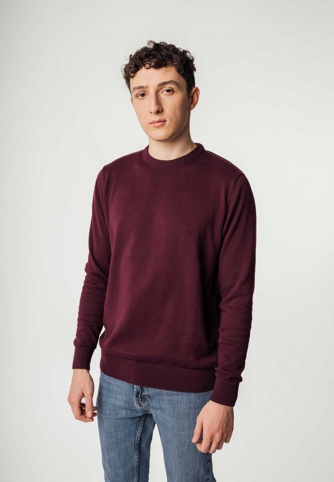 MELA Strickpullover Herren Feinstrick Pullover HIMAL von MELA