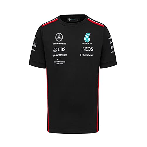 MERCEDES AMG PETRONAS Formula One Team - 2023 Team-T-Shirt - Schwarz - Männer - Größe: L von MERCEDES AMG PETRONAS