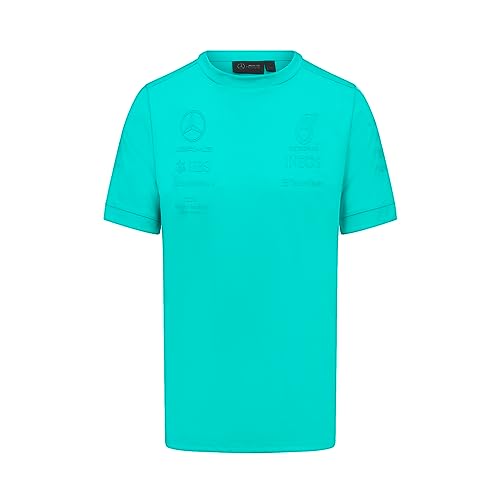 Mercedes AMG Team T-Shirt Teamshirt Formel 1 Oberteil Stealth Kurzarm Herren (Grün) von MERCEDES AMG PETRONAS