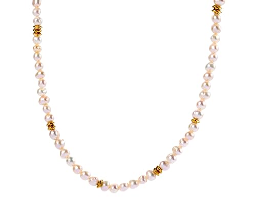 MERCY´S JEWELRY Nova Kette Damen – Zarte Plättchenkette aus Edelstahl – 18K Gold vergoldet, wasserfest & allergiefreundlich MERCY´S JEWELRY Nova Kette Damen – Zarte Plättchenkette aus Edelstahl – 18K Gold vergoldet, wasserfest & allergiefreundlich von MERCY´S JEWELRY