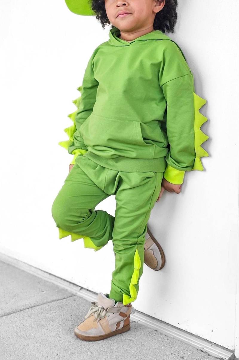 Schiffe An Einem Tag Unisex Dinosaurier Drachen Reptil Krokodil Set, Hoodie Und Jogger, Jungen-Mädchen-Ankleidekostüm, Gemütliche Grüne Sweats von MEandREEKIE