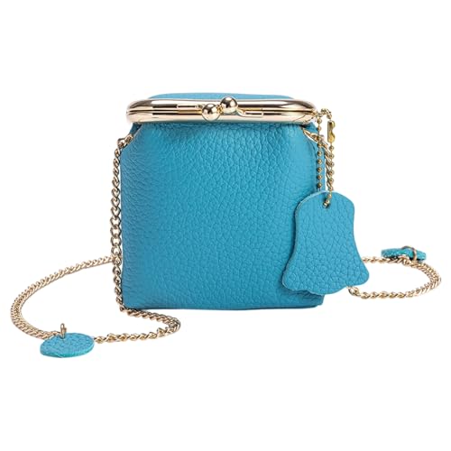 MICFENY Compact Crossbody Bag Multi Funktionelle Organisatoren Einstellbare Kettenband Klassisch Blau Wasserdichte Inspirierte Schmuckaufbewahrungsbeutel von MICFENY
