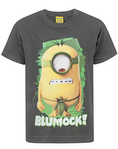 MINIONS Despicable Me T-Shirt Kinder Jungen Mädchen Charakter Charcoal Top 7-8 Jahre von MINIONS
