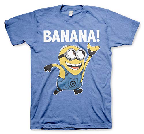MINIONS Offizielles Lizenzprodukt Banana! Herren T-Shirt (Blau-Heather), L von MINIONS