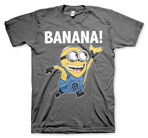 MINIONS Offizielles Lizenzprodukt Banana! Herren T-Shirt (Dark Grau), XL von MINIONS