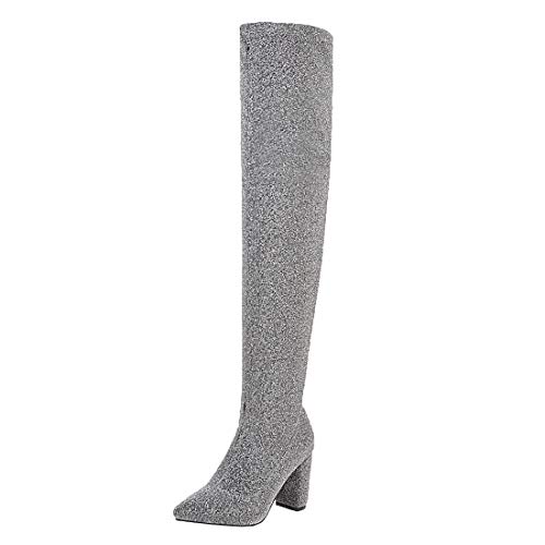 MISSUIT Damen Stretch Overknee Stiefel High Heels Blockabsatz Stiefel Ohne Verschluss Langschaftstiefel Spitze Schuhe(Silber,37) von MISSUIT