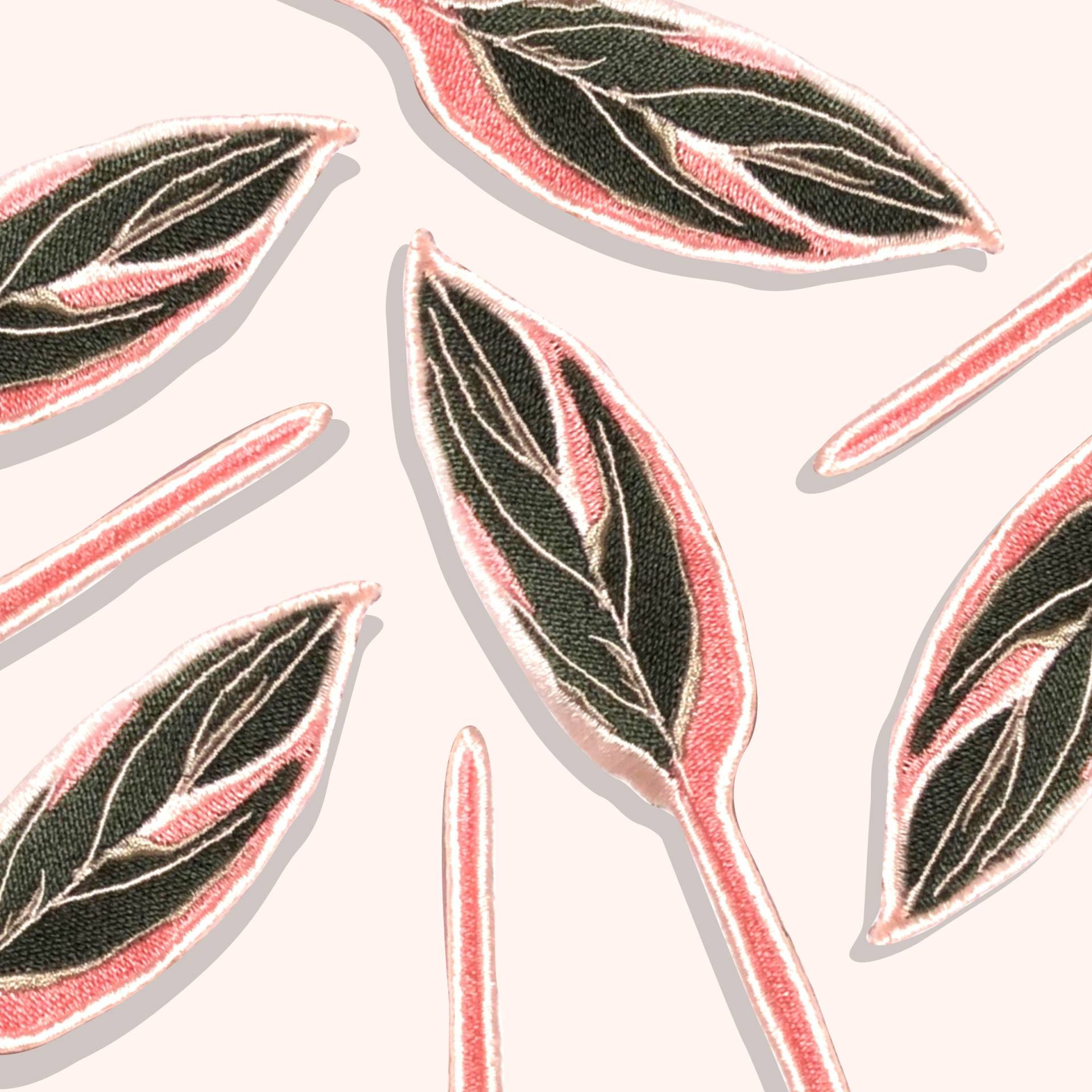 Leaf Calathea Rosa Redamancy/Eisen Auf Patch von MISTERLEMONHEADBKK