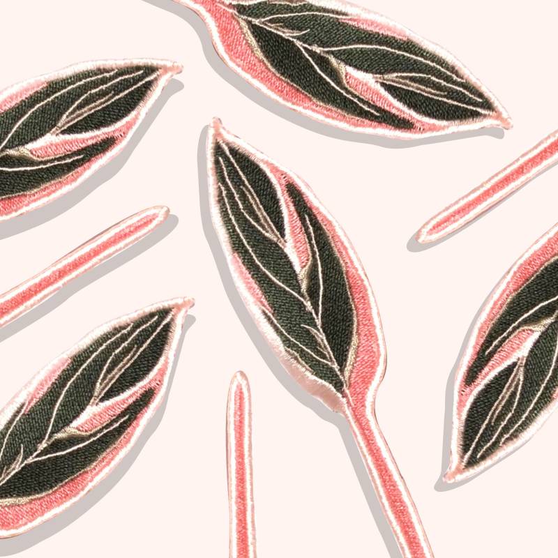 Leaf Calathea Rosa Redamancy/Eisen Auf Patch von MISTERLEMONHEADBKK