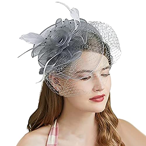 Fascinators Hut Damen Mädchen Haar Mesh Feder Clip Elegant Haarklammer Schleier 20er Jahre Kopfschmuck Cocktail Tea Party Kopfbedeckung Pillbox Stirnband Haarnadel Haarschmuck (Grey, One Size) von MJISG