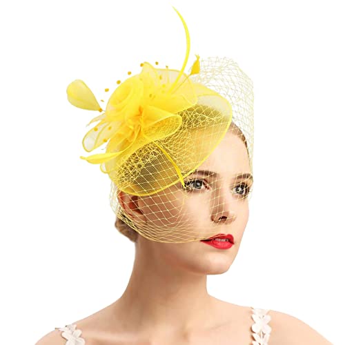 Fascinators Hut Damen Mädchen Haar Mesh Feder Clip Elegant Haarklammer Schleier 20er Jahre Kopfschmuck Cocktail Tea Party Kopfbedeckung Pillbox Stirnband Haarnadel Haarschmuck (Yellow, One Size) von MJISG