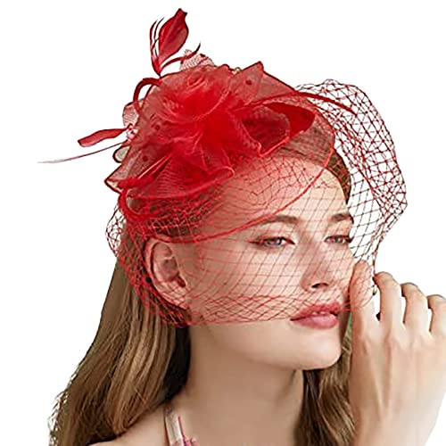 Fascinators Hut Damen Mädchen Haar Mesh Feder Clip Elegant Haarklammer Schleier 20er Jahre Kopfschmuck Cocktail Tea Party Kopfbedeckung Pillbox Stirnband Haarnadel Haarschmuck Hochzeit (RD1, One Size) von MJISG