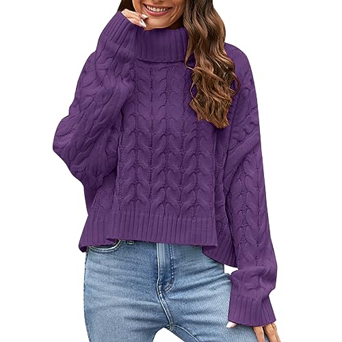 MKIUHNJ Damen Rollkragenpullover, Einfarbig, Lässiger Pullover Strickjacke Flieder Damen Herbst Winter Warm Bequem Pullover (Purple, M) von MKIUHNJ