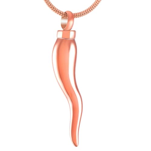 MKJFRLLSA Edelstahl Einäscherung Memorial Asche Medaillon Halter Halskette Andenken Anhänger Schmuck Halskette Halten von MKJFRLLSA