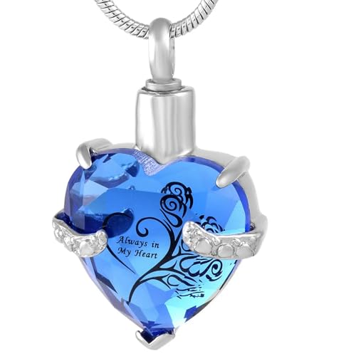 MKJFRLLSA Glas Herz Form Memorial Cremation Schmuck Edelstahl Andenken Urne Anhänger Halskette für Asche Halskette für Liebhaber von MKJFRLLSA